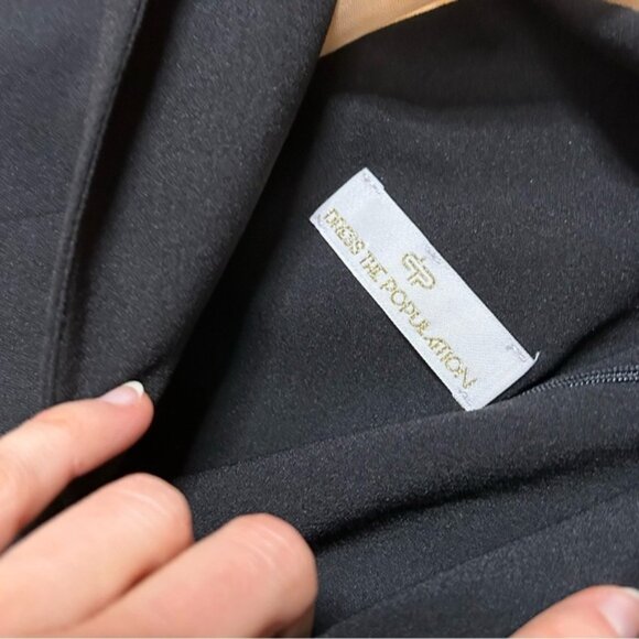 Dress The Population Black Sheer Nude Panel Bodycon Dress - Picture 8 of 12